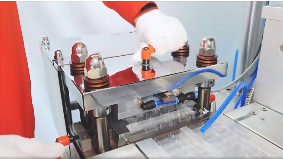 Rich Packing quick mold changeover in 10 minutes demonstration